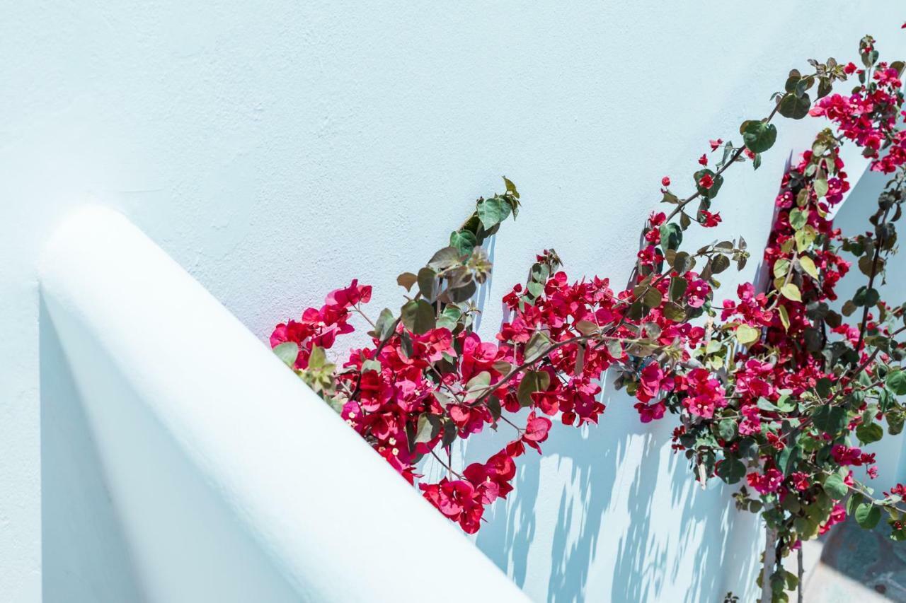 Bohemian Luxury Boutique Hotel, Adults Only Науса Екстериор снимка